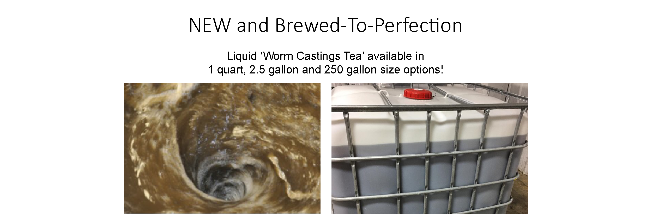 Earthworm Castings
