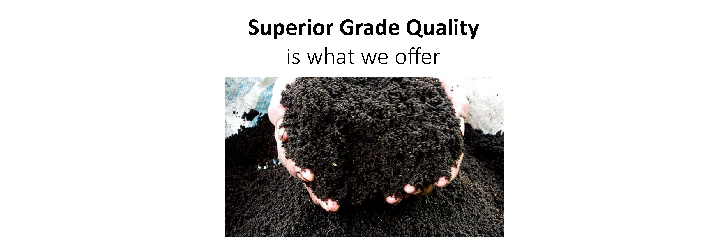 Earthworm Castings